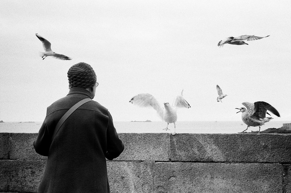 The woman with the gulls
